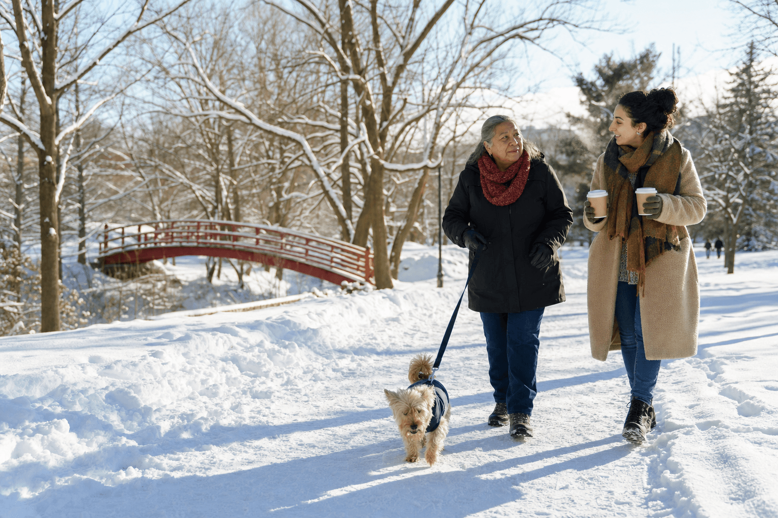 An older woman and her companion walking a dog through a snowy park